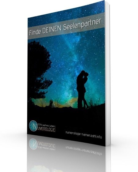 Seelenpartner PDF